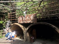 -海南槟榔谷黎苗文化旅游区