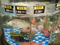 水产区-新塘畔酒楼(里水大道北店)