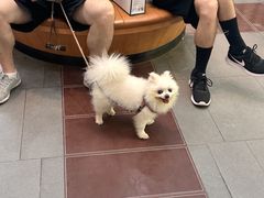 -联合动物医院(光谷诊疗中心)