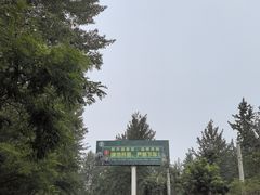 -秦皇岛野生动物园
