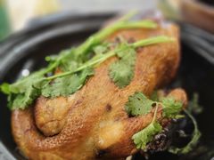 -五谷芳乳鸽王(海景店)