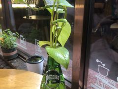 -ZING COFFEE 镜咖啡