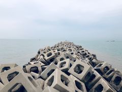 -东疆建设开发纪念公园