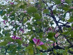 -华南师范大学(广州大学城校区)