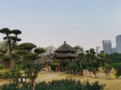 -南宁南湖公园