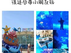 -巧克力渔家.小船海鲜胶东菜(万平口店)