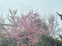 -明月山天沐温泉度假村