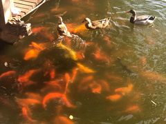 -华雅花园大酒店