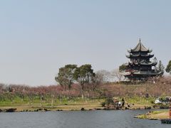 -上海海湾国家森林公园