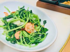 -锦府盐帮·张宅(世纪金源店)