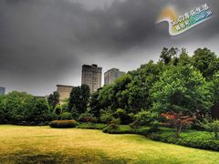 -上海瑞金洲际酒店