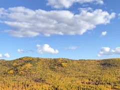 -莫尔道嘎国家森林公园