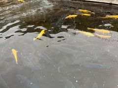 -天源渔港农庄