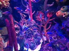 -沈阳海洋探索中心