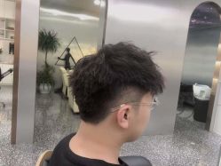 -Tloml salon