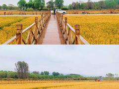 -沉浸北京·团建旅行·密室剧本杀·年会会议轰趴拓展