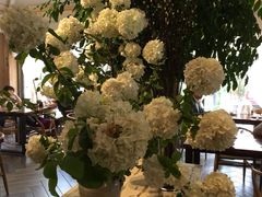 picture-春暖花开(西溪店)