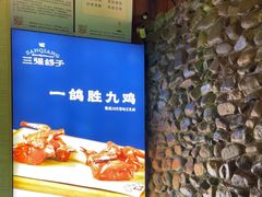 -三强鸽子(中原路店)