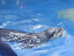 -太平洋海底世界