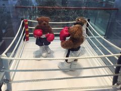 -济州岛泰迪熊博物馆