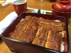 -本家 柴藤