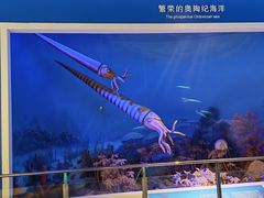 -国家自然博物馆