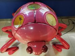 -上海昆虫博物馆