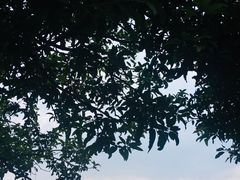 -广东外语外贸大学(白云山校区)