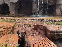 -海南热带野生动植物园