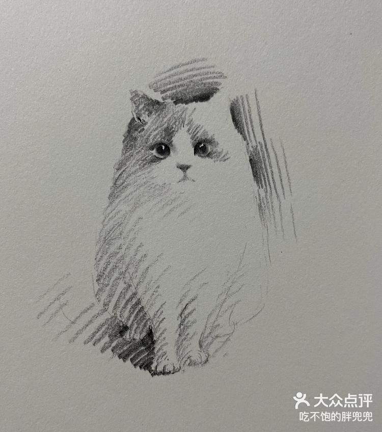 简单几笔速写可爱小猫咪