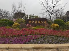 -新江湾城公园