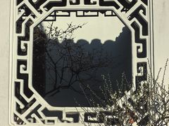 -拙政园