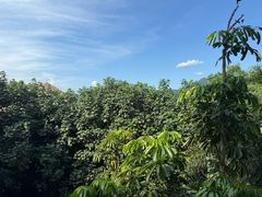 -广州都喜泰丽温泉度假酒店