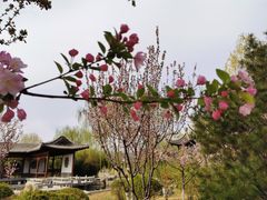 -济南国际园博园