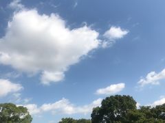 -上海月湖雕塑公园