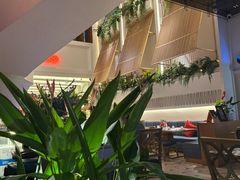 -Mezomd曼索蒂西班牙餐厅(广粤店)