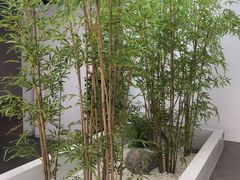 -南园(太仓市)