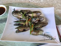 -崖口红树林海鲜餐厅