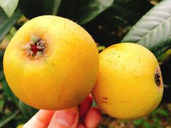 -太湖好灶头土菜馆(石公路店)