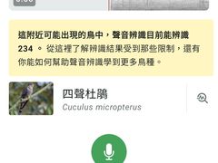 -合肥滨湖国家森林公园