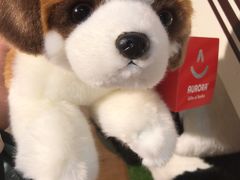 -雅米拉艺术中心(少儿舞蹈培训)