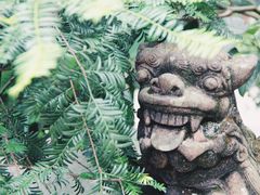 -峨眉山报国寺