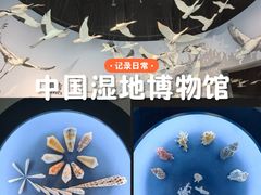 -中国湿地博物馆