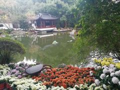 -汇龙潭