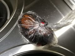 -老字号周记古蔺麻辣鸡·非物质文化遗产传承店