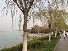 -天津东丽湖风景区