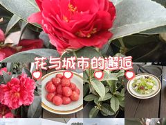 -西安创业咖啡街区