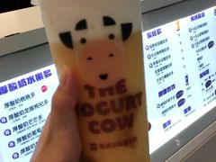 -一只酸奶牛(八一路店)