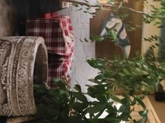-慢丽江·云南野生菌土鸡锅(付家庄店)