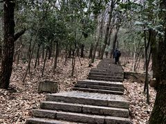 -紫金山山顶公园